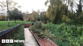 Trowbridge Town Park plans announced to improve biodiversity