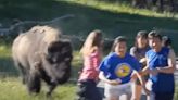 Viral video of bison charging at boy shows exactly why signs say to stay away: ‘Who lets their kids approach deadly animals?’