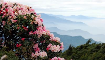 合歡山賞花季搭乘大眾運輸 小風口下停車場施工