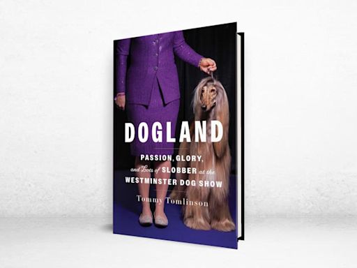 ‘Dogland’ Review: The Battle of Beauty and Breed