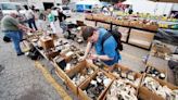 Thousands will be in Greene County this weekend for this year’s Hamvention