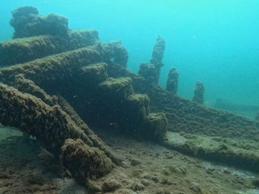 Wreck of ship that sank with ‘faithful dog’ on board found after 130yrs