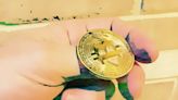 ...Bitcoin Surpasses Gold In Terms Of Issuance Scarcity, Investor Predicts Hard Assets Will Continue To Appreciate...