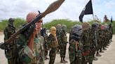 US, Somali forces kill Al-Shabaab commander responsible for multiple attacks, official says