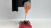 Necrobotics: How scientists are using dead spiders as corpse claw machines