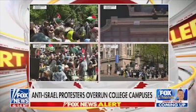 Fox host calls for professors engaging in protests to be fired