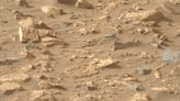 NASA's Perseverance rover finds 'Popcorn' on Mars