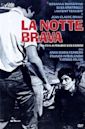 La notte brava