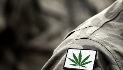 Veterans Affairs Is Not Preventing Suicides Successfully, Says GOP Rep. As Congressional Committee Approves Cannabis And...