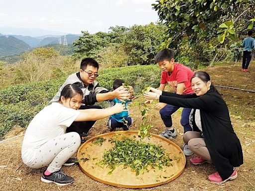 新北市圖「閱見中秋」秋遊小旅行！ 邀親子體驗月見豆腐與茶鄉風情