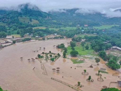 About 100 rescued elephants escape flash floods at popular sanctuary in northern Thailand