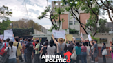 Protestan en la Embajada de Israel en México contra “exterminio” del pueblo palestino
