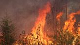 Wildfire in Tiger Island Louisiana burns on after leveling 30,000 acres of land