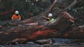 Tornado did hit SLO County, National Weather Service confirms