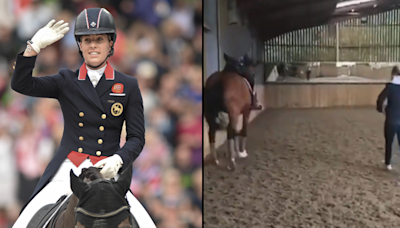 British Dressage chief speaks out against ‘real reason’ whistleblower leaked Team GB horse video