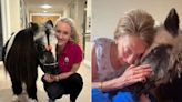 Mini Therapy Ponies Delight Elderly Residents with Surprise Visits to Retirement Homes and Hospitals (Exclusive)