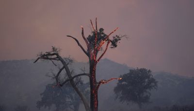 Containment rises to 24% on the Post fire in Gorman