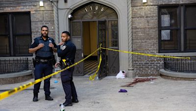 17-year-old girl stabbed to death in courtyard of Bronx building, teen in custody