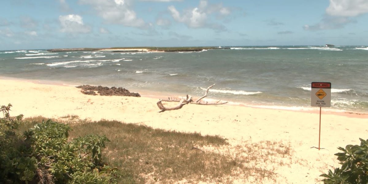 Ocean users, lifeguard community mourn Tamayo Perry after rare fatal shark attack