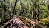 I've Lived in Florida for 27 Years — and These Are the Best State Parks to Visit