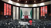 Diputados aprueban calendario para comenzar a discutir el plan C de AMLO