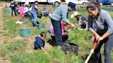 The life of a Central Coast farmer | Andy Caldwell