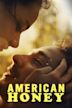 American Honey (film)