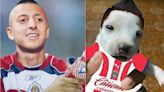 Los mejores MEMES del triunfo de Chivas ante Querétaro | El Universal