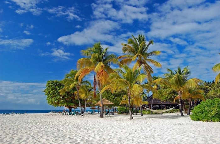 St. Vincent and the Grenadines: A Rising Star in Caribbean Tourism