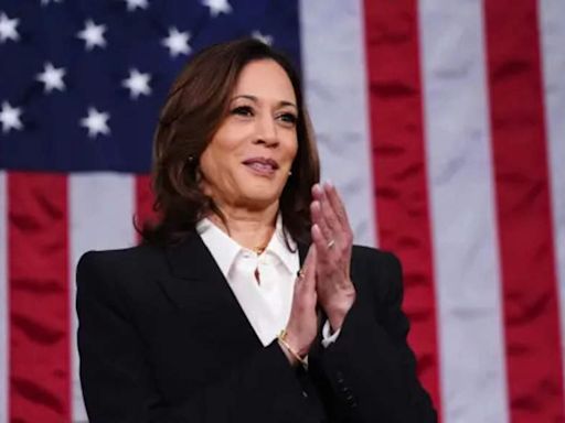 George Soros backs Kamala Harris as other Wall Street Democrats want a contest - Times of India