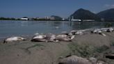 Una promesa olímpica para restaurar las lagunas de Río de Janeiro finalmente está tomando forma