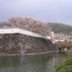 Maizuru Castle Park