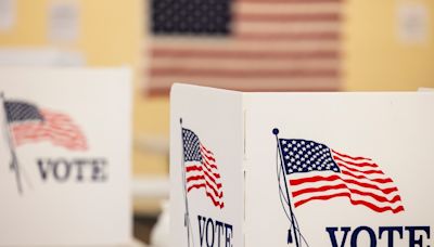 Your guide to the Ottawa County Aug. 6 primary election ballot