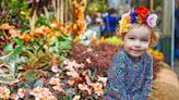 Philadelphia Flower Show is the Super Bowl of floral events