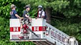 Firefighters rescue skydiver stuck in tree in Hollis, NH - Boston News, Weather, Sports | WHDH 7News