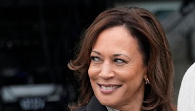 Democratic Party’s choice of Harris was undemocratic − and the latest evidence of party leaders distrusting party voters