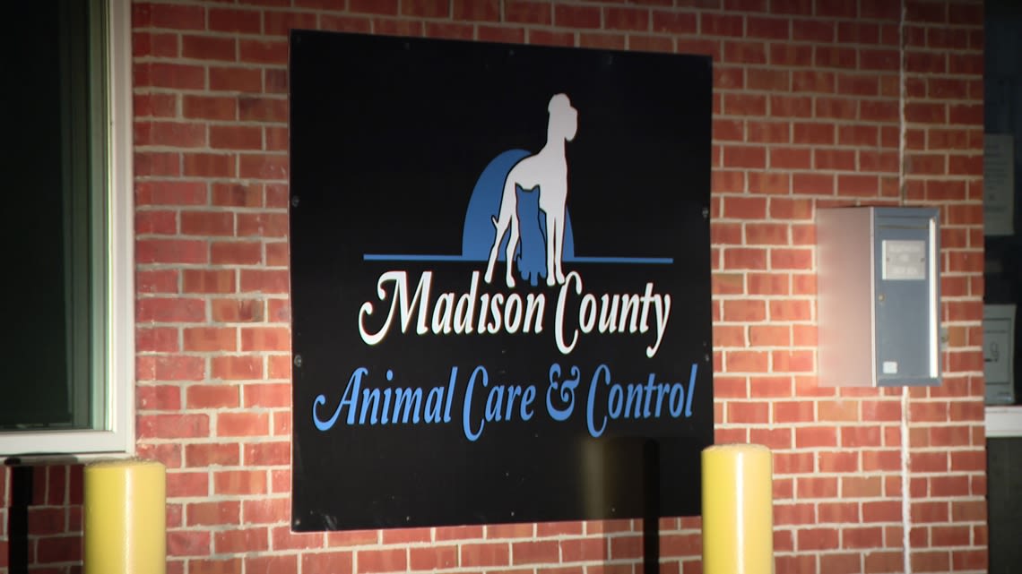 Without AC for its dog kennel, Madison County Animal Care & Control needs foster homes during dangerous heat