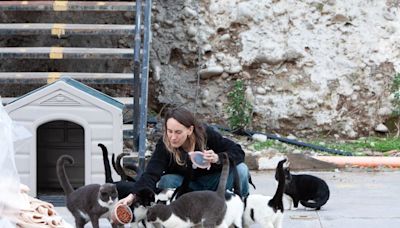 Mi mascota y yo: La heroína de los gatos callejeros - La Tercera