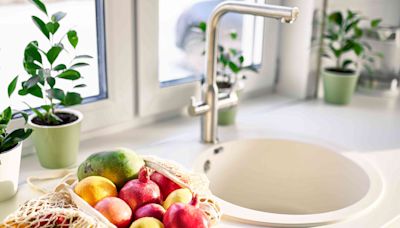 The Only Way To Keep Fruit Flies Out of Your Kitchen, According to a Pest Control Expert