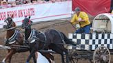 Beyond Local: Glass adds to lead in Calgary Stampede Rangeland Derby