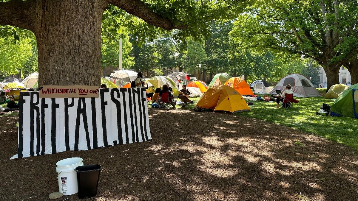 UNC fraternity brothers defend reinstated American flag from campus mob who replaced with Palestinian flag