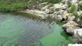 Blue-green algae health alert issued in Indian River County