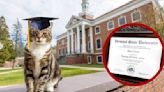 Universidad de Vermont otorga doctorado honoris causa al Gato Max