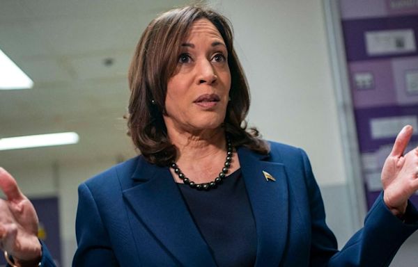 VP Kamala Harris Playfully Dodges Questions After Leaving Restaurant