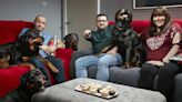 Gogglebox stars point out flaw in new James Bond show