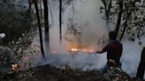 Sin control, incendios forestales que afectan a Hidalgo