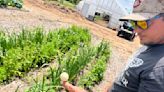 Oak & Ember: A regenerative farm growing food for Dayton chefs