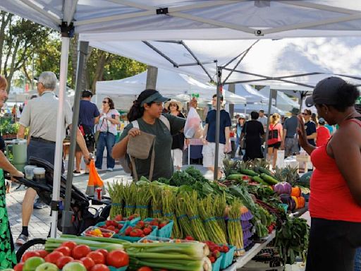 West Palm Beach GreenMarket Places Second This Time | NewsRadio WIOD | Florida News
