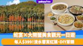 香港好去處｜蛇宴×大閘蟹美食觀光一日遊！流水響賞紅葉、DIY茶粿 玩足一日都只是$399