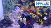 Know Your City: Cubbon Park aquarium revamped, re-opened as Namma Bengaluru Aquarium